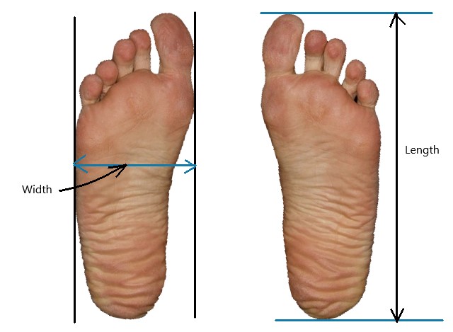 How to measure correct shoe size from heel to toe  and measuring foot width.
