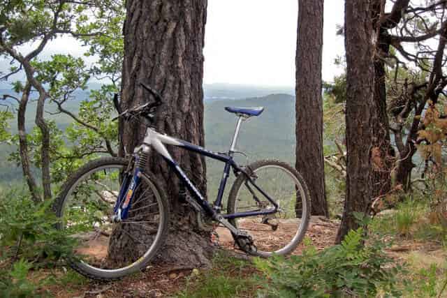 Mountain bike rental rates: how much you might pay, and what you’re paying for