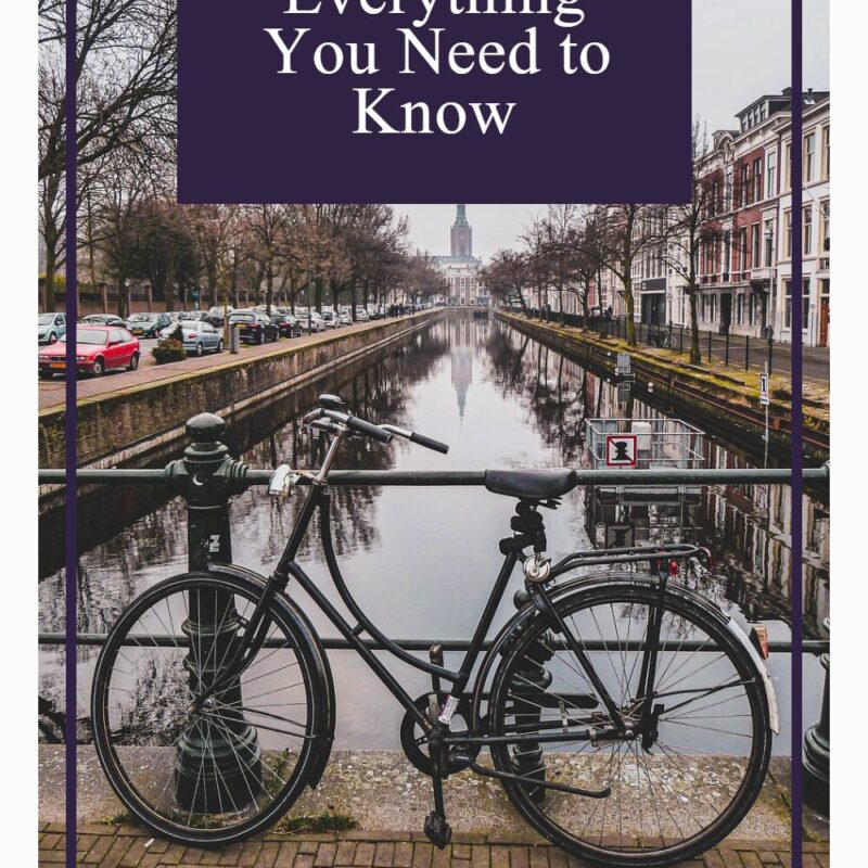 Do bicycles have a weight limit? And how much it can hold with bicycle weight limits ev pin