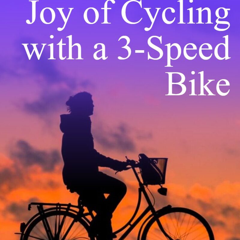 Embrace the joy of cycling with a 3-speed bike with embrace the joy of cycli pin