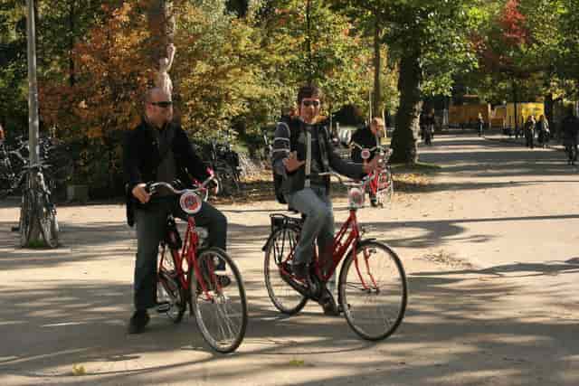 Cruiser vs. Comfort bike