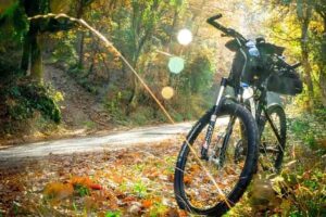 Are Budget Mountain Bikes Worth It? When Should You Buy One