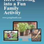 how-to-turn-herb-growing-into-a-fun-family-activity-pin