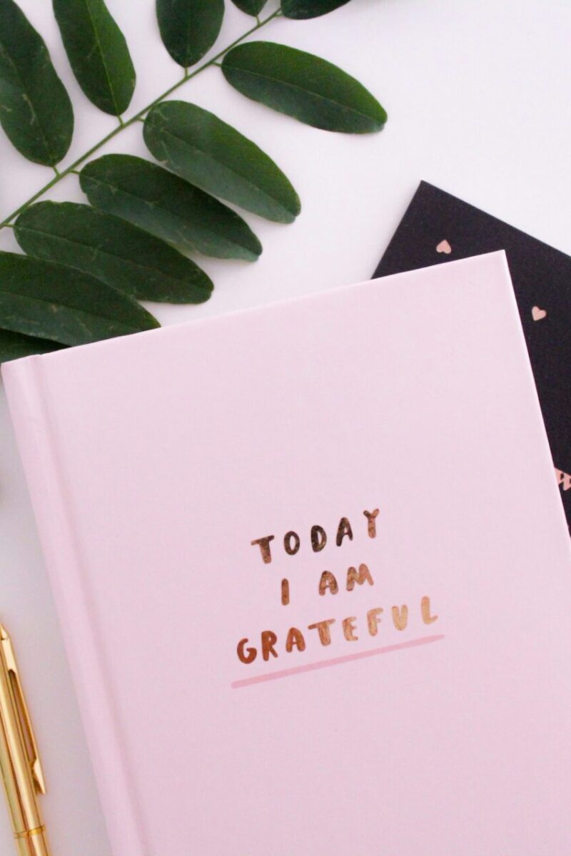 Mom life made easy: 5 morning habits for healthier and happier days with pink today i am grateful journal