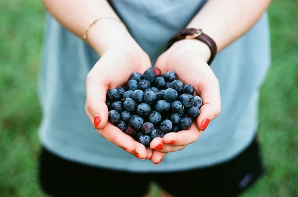 Person holding handful of fresh blueberries in cupped hands, showing brain-boosting foods rich in antioxidants for mental clarity
