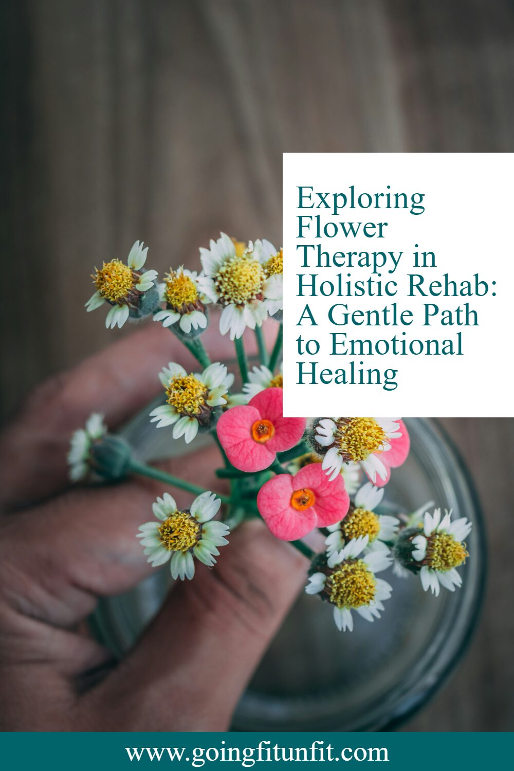 Exploring flower therapy in holistic rehab: discover how flower essences support emotional healing in addiction recovery. Learn about bach flower remedies for trauma, stress & anxiety | natural remedies for recovery | mind-body healing | holistic wellness #flowertherapy #holisticrecovery #addictionhealing